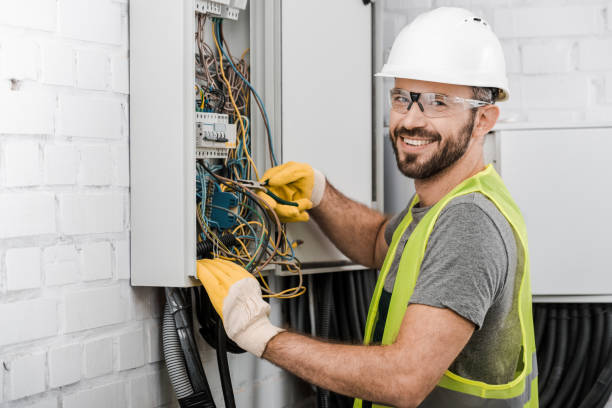 Best Electric Panel Repair  in Reedsburg, WI