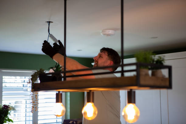 Best Ceiling Fan Installation Electrician  in Reedsburg, WI